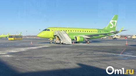 В Новосибирске авиакомпания S7 отстранила от полёта 12 человек и получила штраф
