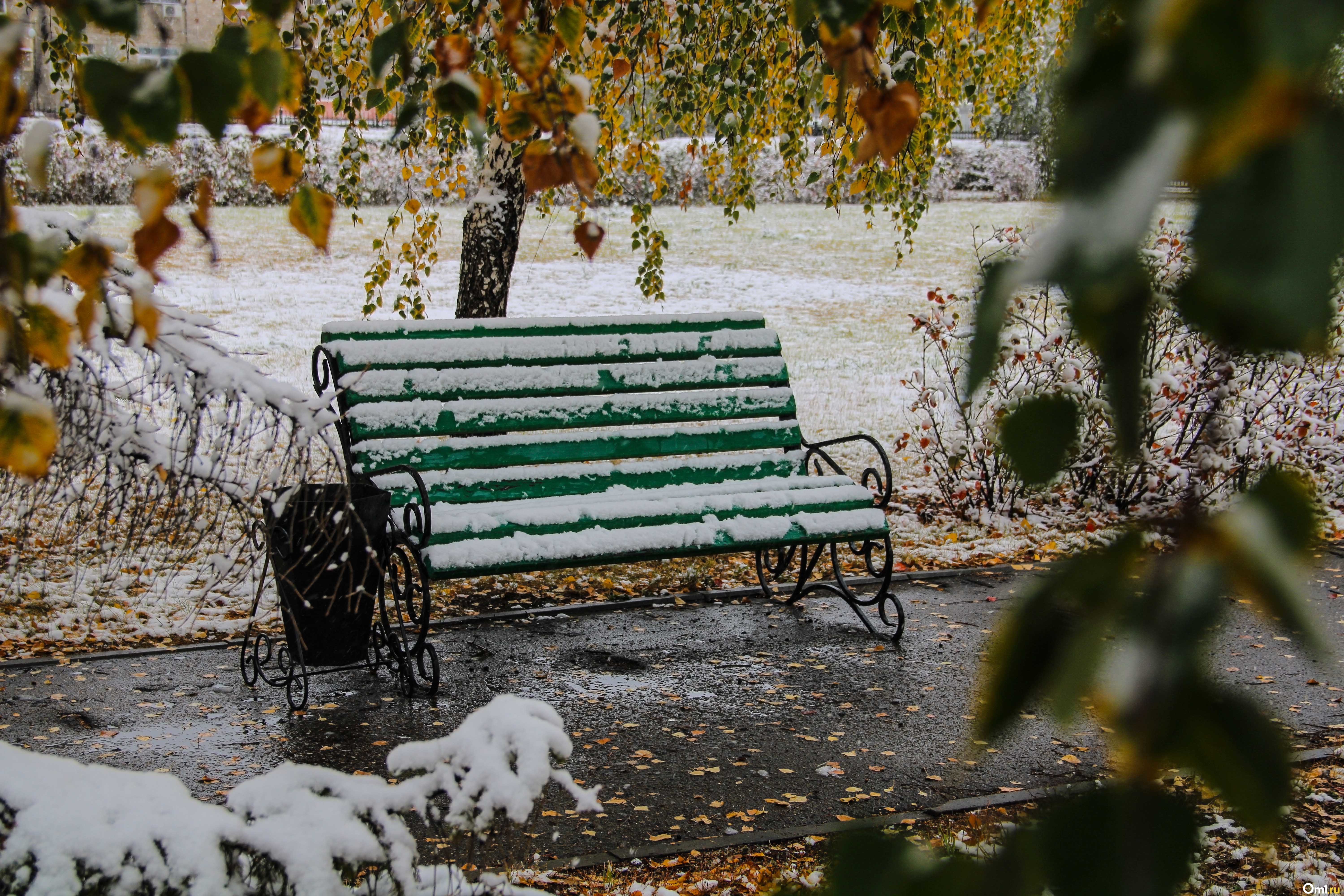 Омск выпал снег. Первый снег. Первый снег это грустно. Холод. Новосибирск Центральный парк скамейка.