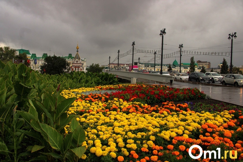 Изображение фоторепортажа