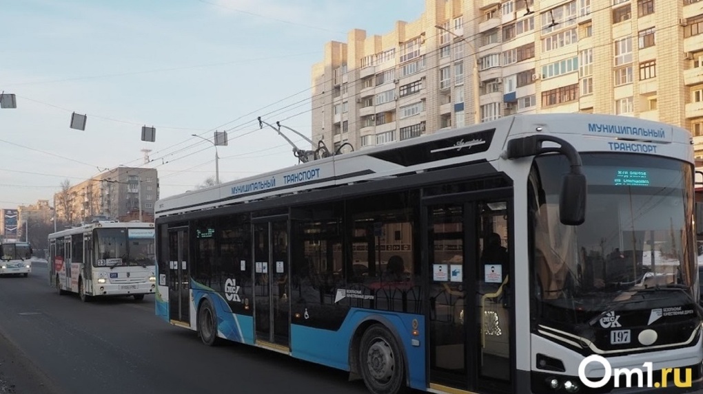 В Омск из столицы приедут передовые троллейбусы с современными технологиями
