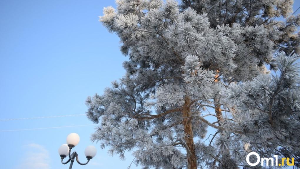 В Омске во второй раз за зиму регистрируют рекордно низкую температуру