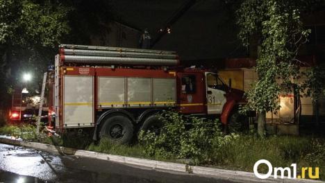 Ночное возгорание: в Омской области произошёл массовый пожар на дачах