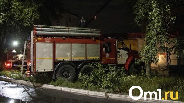 Ночное возгорание: в Омской области произошёл массовый пожар на дачах