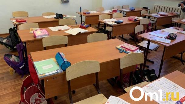 Больше половины омичей поддержали идею введения штрафов за оскорбление учителей