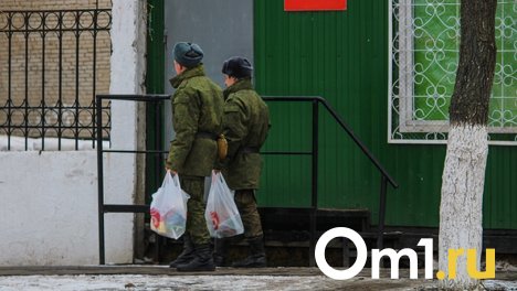 Вместо службы в армии омичи могут выбрать филармонию или Музыкальный театр — СПИСОК