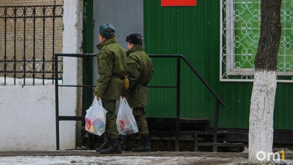 Вместо службы в армии омичи могут выбрать филармонию или Музыкальный театр — СПИСОК