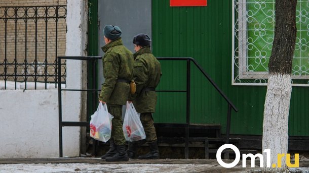 Вместо службы в армии омичи могут выбрать филармонию или Музыкальный театр — СПИСОК