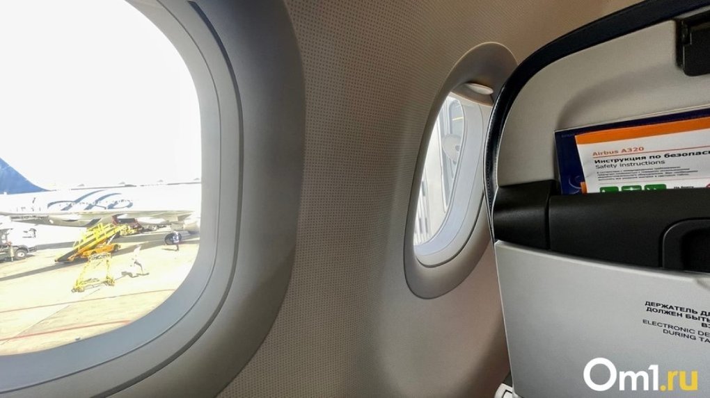 В Омске полиция сняла с самолёта мужчину, курившего «электронку» во время полёта