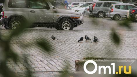 На следующей неделе погода готовит омичам неприятные сюрпризы