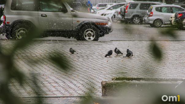 На следующей неделе погода готовит омичам неприятные сюрпризы