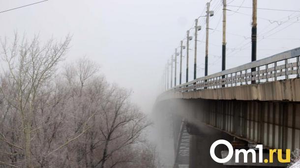 Платный мост через Омь начнут строить в следующем году