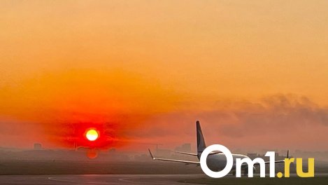 В омском аэропорту сообщили о задержке двух рейсов