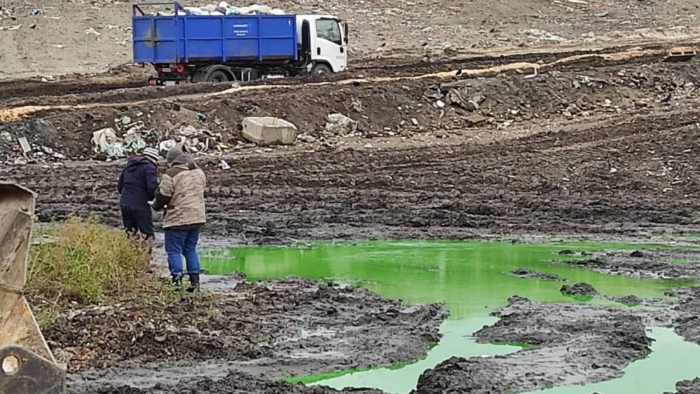 Новосибирцев напугали зелёные лужи на левобережном полигоне ТБО, общественники узнали причину