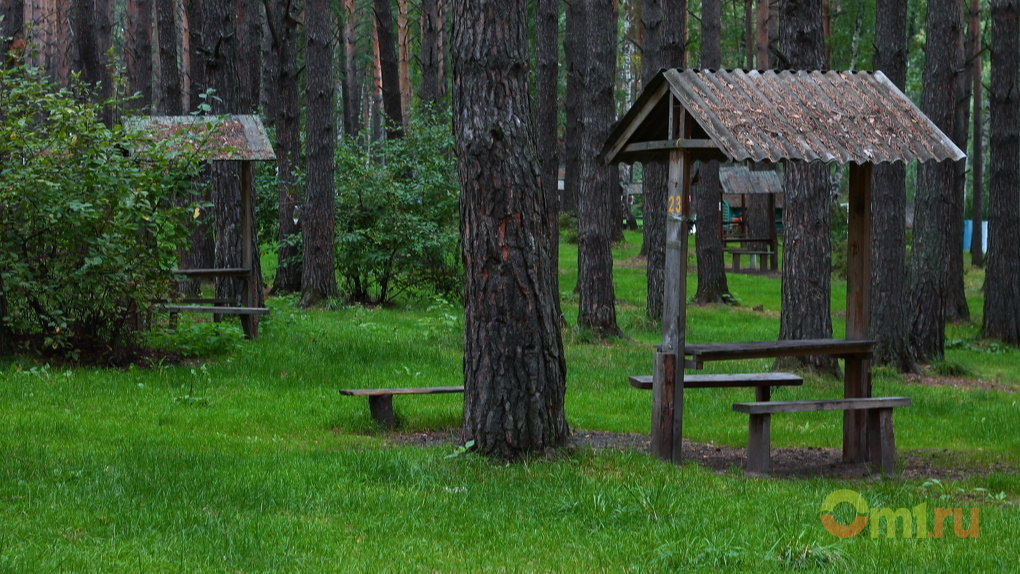 Экологический туризм Омск