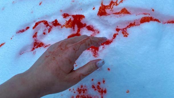 Бастрыкин заинтересовался приезжим, который избивал новосибирцев и снимал это на видео