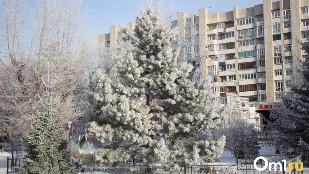 В Омске ожидается новый пик морозов до -46 после выходных