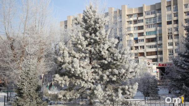 В Омске ожидается новый пик морозов до -46 после выходных