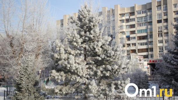 В Омске ожидается новый пик морозов до -46 после выходных
