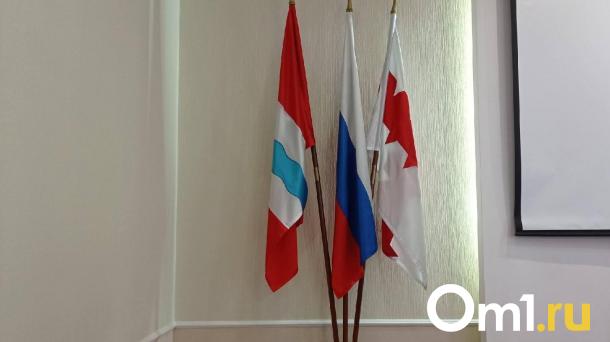 В Омской области начали ликвидацию регионального отделения «Партии Роста»