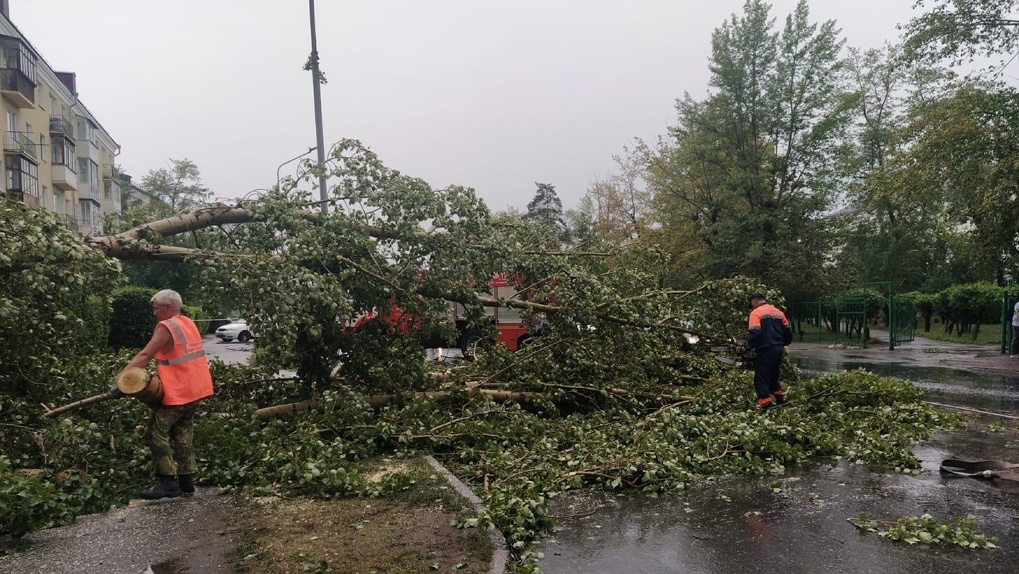 Упавшие деревья порвали провода. Ливень вызвал отключение электричества в части Омска