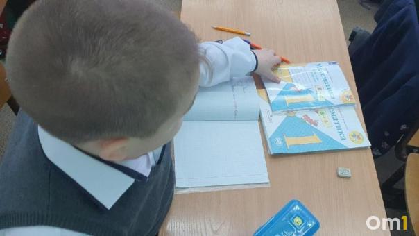 «Боюсь возвращаться»: в Новосибирске учительница заперла ребёнка-инвалида в классе