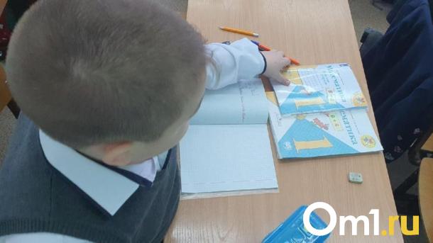 «Боюсь возвращаться»: в Новосибирске учительница заперла ребёнка-инвалида в классе