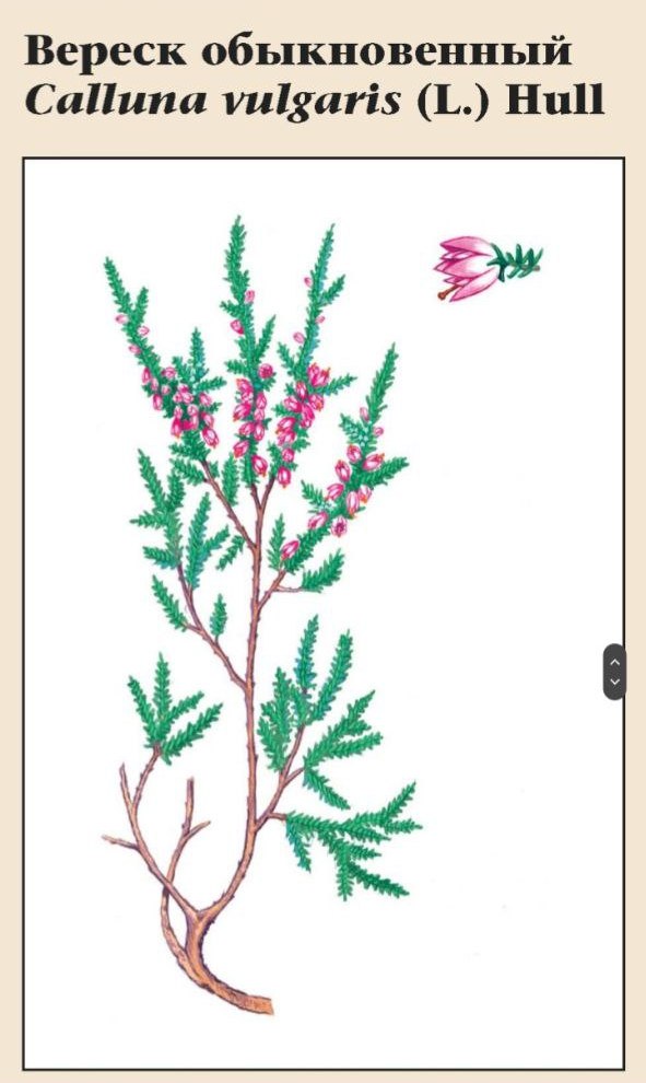 Изображение фоторепортажа