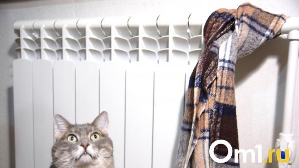 В Омске из-за аварии на теплотрассе в ряде домов отключили отопление