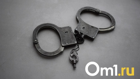 Омич, задушивший четырёхлетнюю падчерицу из-за мультиков, получил 18 лет колонии строгого режима