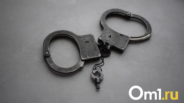 Омич, задушивший четырёхлетнюю падчерицу из-за мультиков, получил 18 лет колонии строгого режима