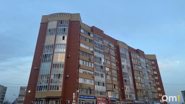Омскую многоэтажку на Левобережье атаковали грызуны