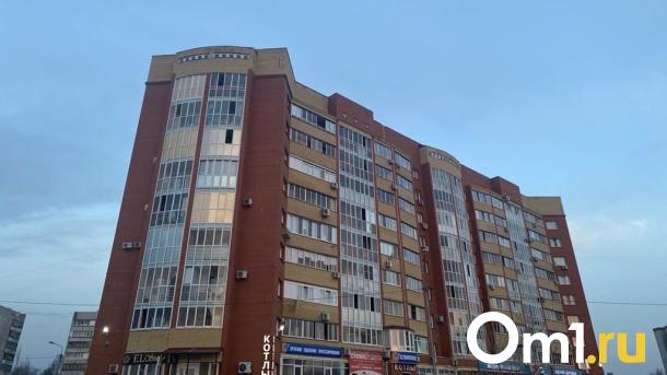 Омскую многоэтажку на Левобережье атаковали грызуны