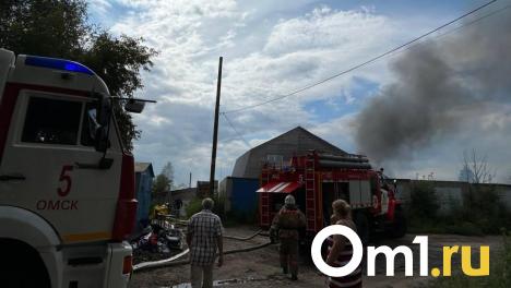 Сергей Шелест пообещал помочь пострадавшим от возгорания газа на Линиях