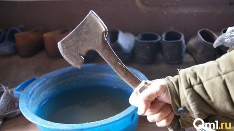 «Умер до приезда скорой»: под Новосибирском садовод случайно убил семиклассника