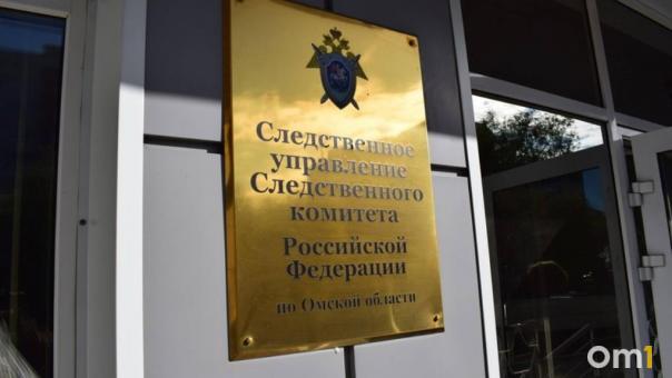 Следком заинтересовался домом на болоте, который выделили омской сироте