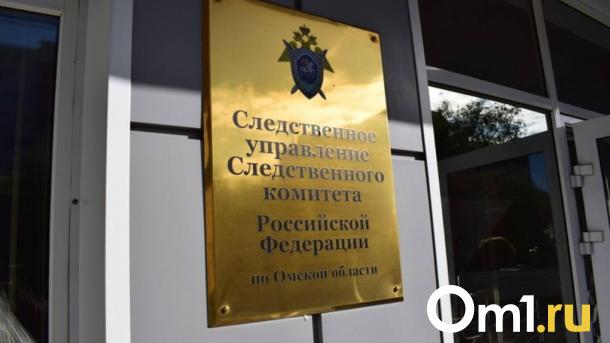Следком заинтересовался домом на болоте, который выделили омской сироте