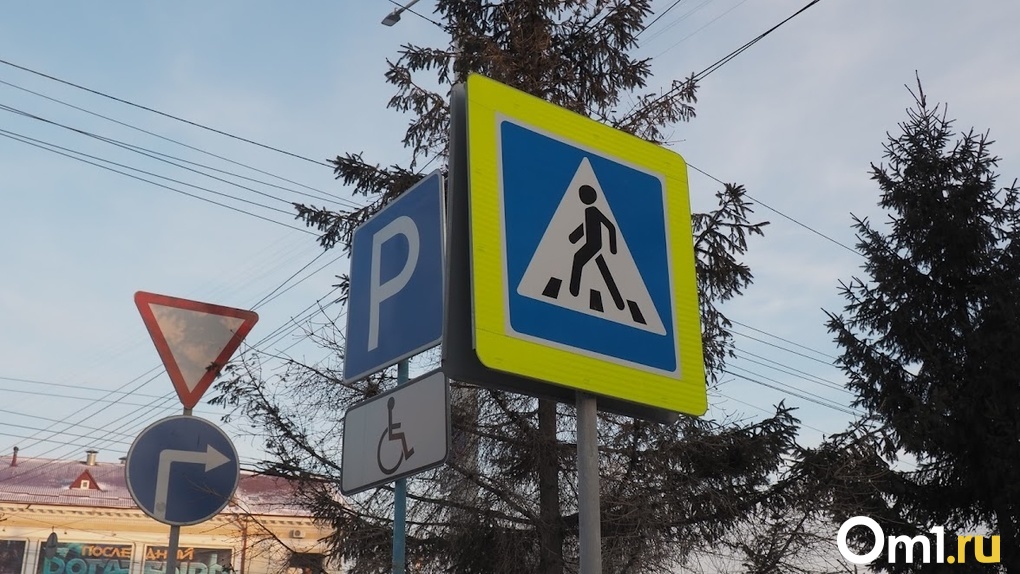 В Новосибирске уголовное дело водителя, сбившего на пешеходном переходе отца с девочкой, передали в суд