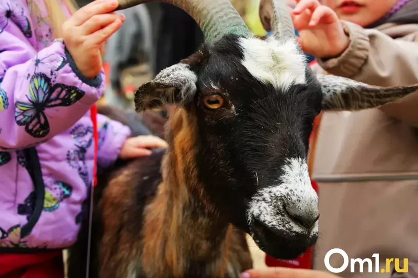 Изображение фоторепортажа