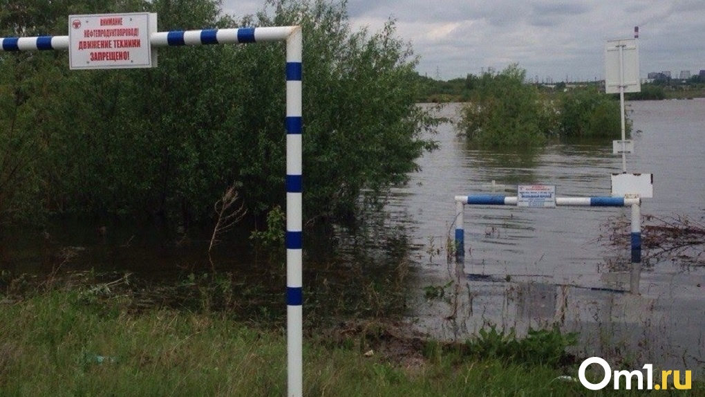 Картинка паводок весной