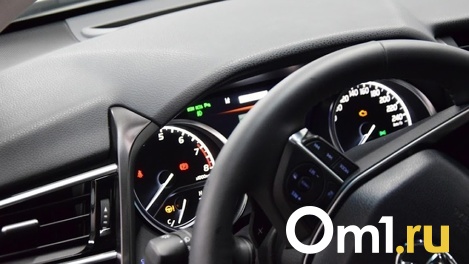 Молодая омичка получила три месяца ограничения свободы за езду с поддельными правами