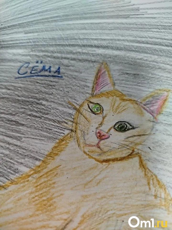 Дети рисуют питомцев за деньги в интернете: милый бизнес или спекуляция? Мы заказали рисунок кота — результат удивил