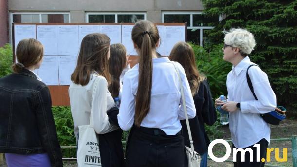 Омские выпускники после ЕГЭ подали 193 апелляции. Сколько из них удовлетворили?