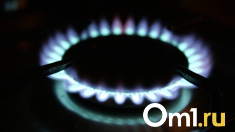 Как омичам избежать утечки газа и вовремя её предотвратить? Инструкция