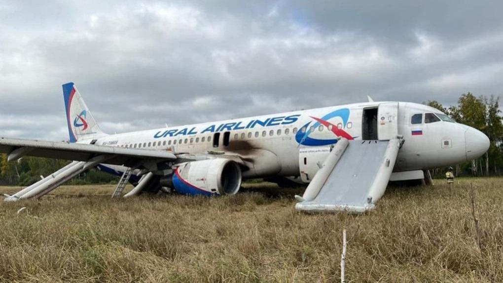 Менеджеров компании, самолёт которой не смог приземлиться в Омске, хотят уволить
