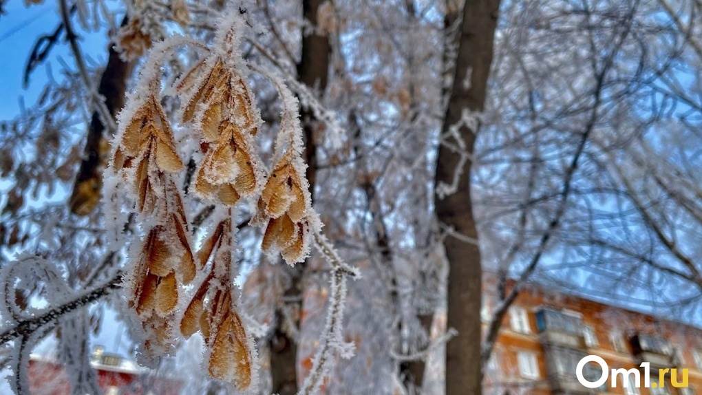 Оставайтесь дома: в выходные в Омской области ударят морозы до -30