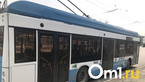 Новосибирск получит 120 новых троллейбусов до конца года