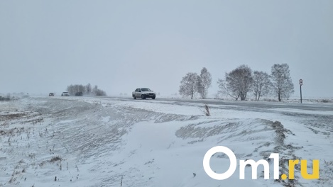 Омских автолюбителей призывают быть бдительными: на регион движется циклон