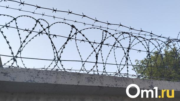 Омского поджигателя машин с символикой Z отправили по этапу на 15 лет
