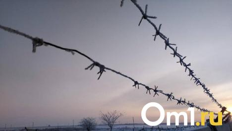 Иностранцы распространяли наркотики в Омске и теперь могут сесть на 15 лет