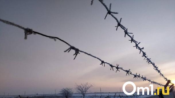 Иностранцы распространяли наркотики в Омске и теперь могут сесть на 15 лет